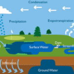 Un confine planetario per l'acqua verde