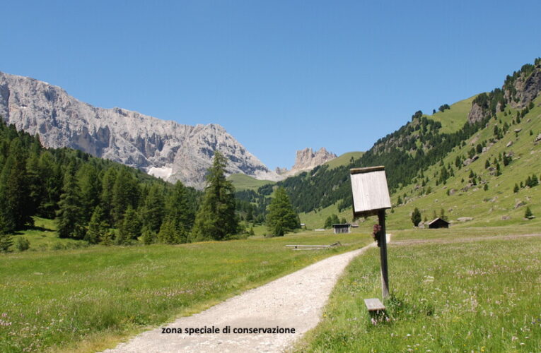 Regione Sicilia zona speciali di conservazione