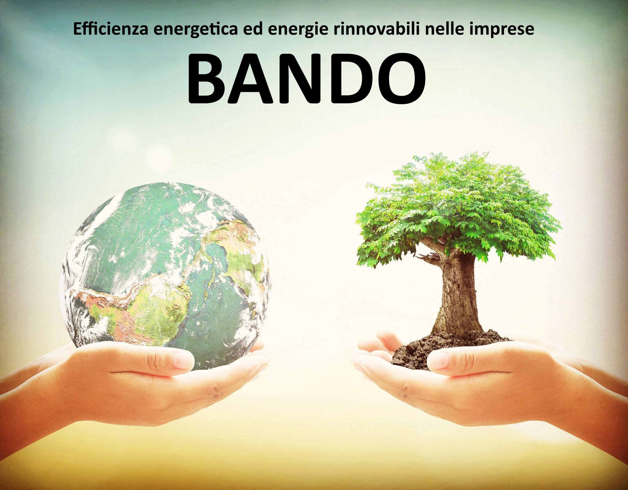 energie rinnovabili e Efficienza energetica SPESA AMMESSA A partire da 80.000 € REGIONI Piemonte. FORMA AGEVOLAZIONE. Bando Imprese.