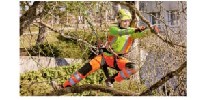 Potete affermare di lavorare in modo sicuro durante gli interventi di cura e potatura delle chiome degli alberi