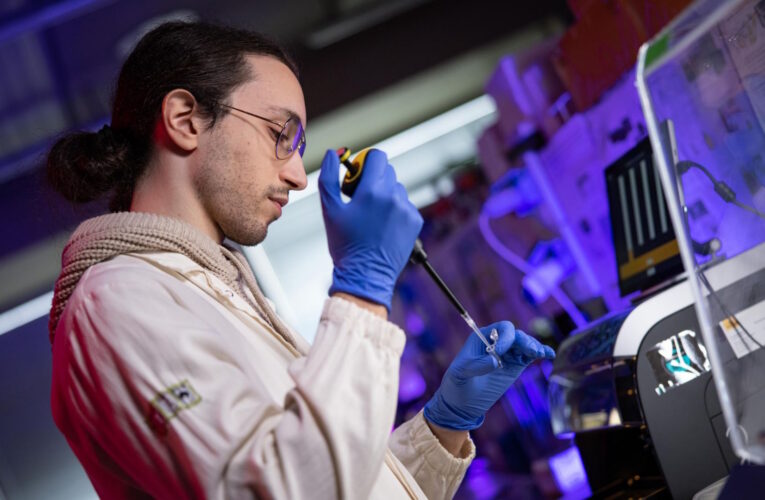 Incentivi dei progetti di ricerca e sviluppo